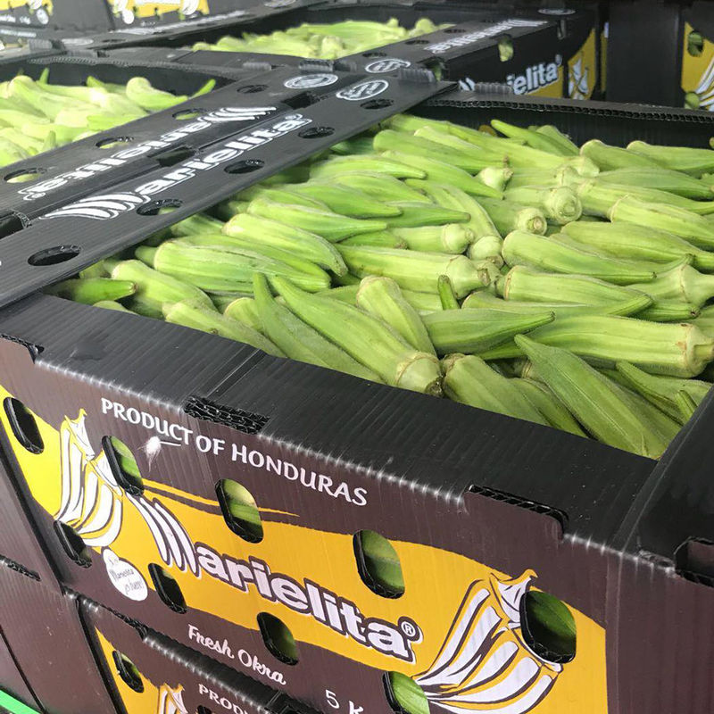 6mm 8mm van de de Dozenmango van Aspergecorrex Verpakkende de Opslagdozen van Coroplast
