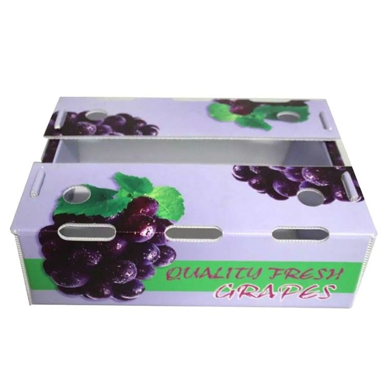 High-Performance Fruit Wave Boxes voor optimale verpakkingen voor de landbouwindustrie