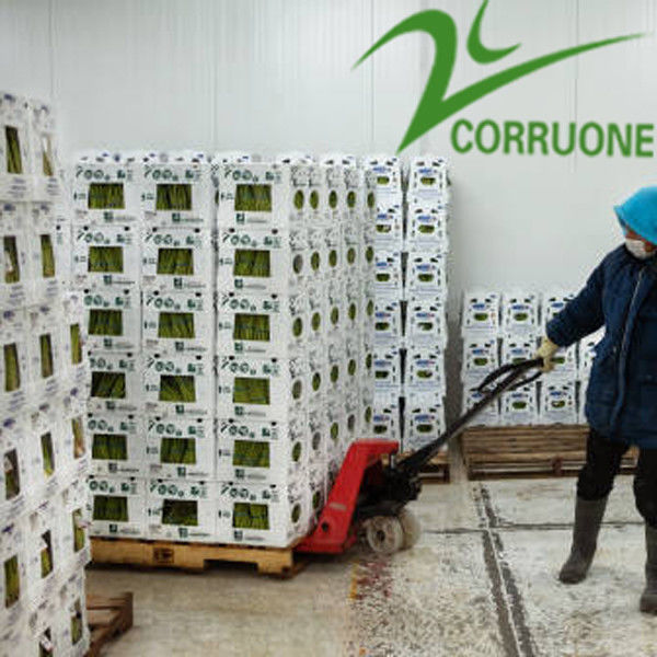High-Performance Fruit Wave Boxes voor optimale verpakkingen voor de landbouwindustrie
