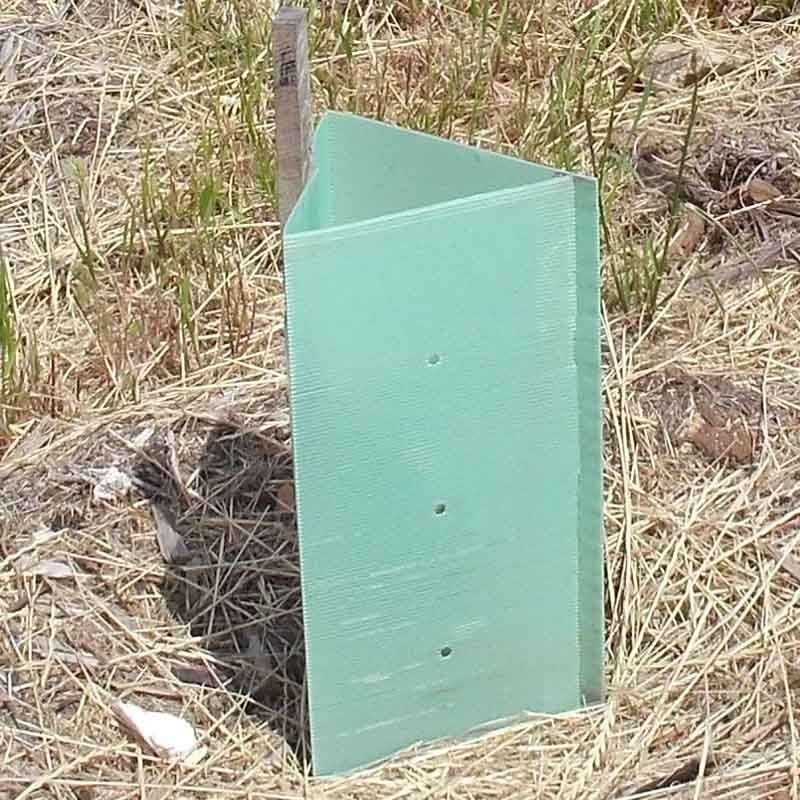 Corruone groothandel hoogwaardige PP Plastic golfgrote boombewaker Plastic boombeschermer