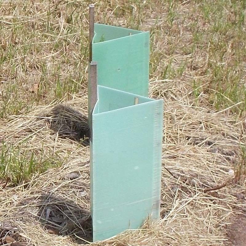 Pp Golf Plastic de Boomstambeschermers van Corflute Plastic Tree van de Boomwacht