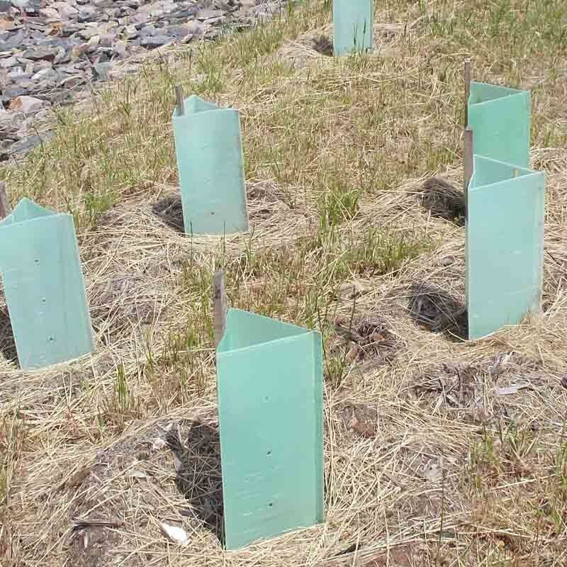 Pp Golf Plastic de Boomstambeschermers van Corflute Plastic Tree van de Boomwacht