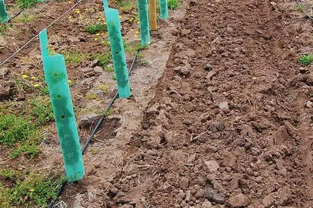 Op maat gemaakte gegolfde plastic boombeschermer gemaakt van PP-materiaal voor bescherming