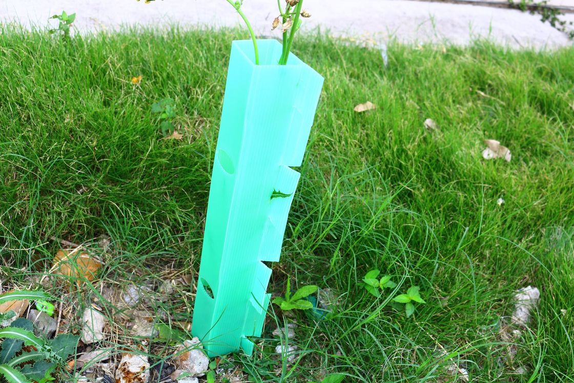 Op maat gemaakte gegolfde plastic boombeschermer gemaakt van PP-materiaal voor bescherming