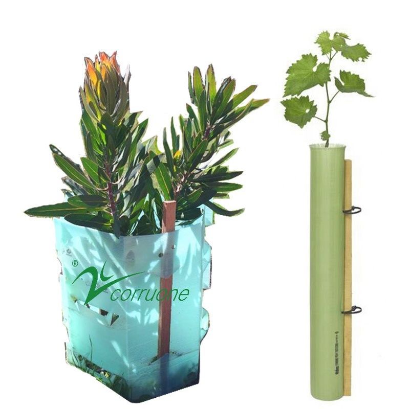 Rode 100%-PE Plastic de Boomwachten UV Bestand 2mm12mm van Corflute