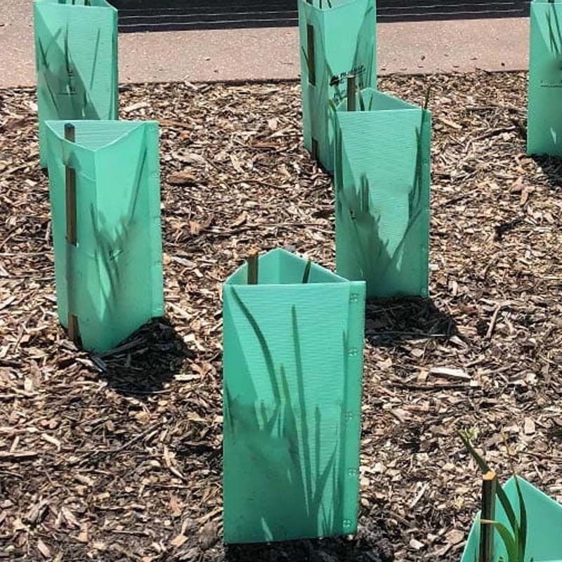 Platte oppervlakte gegolfde kunststofboombeschermer in aangepaste kleuren voor plantenbescherming