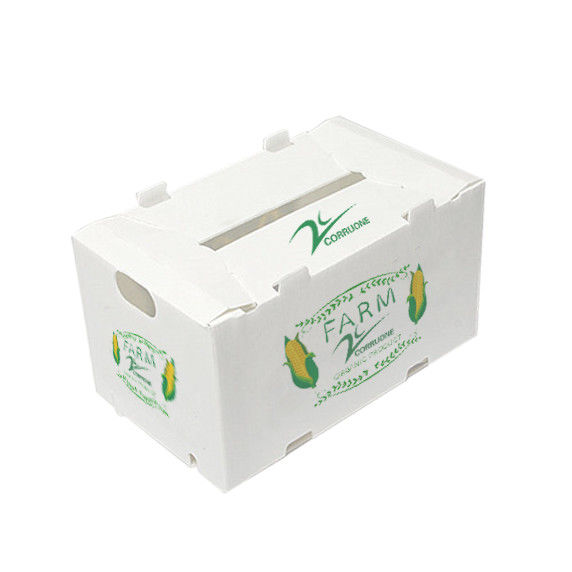 Plastic Dozen PP golfvormige plastic doos voor groenten en fruit