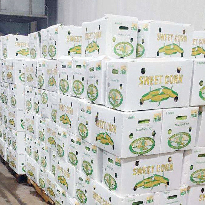 Opvouwbaar warm verkoopend product milieuvriendelijk Duurzaam beschermplaat Plastic groente- en fruitdoos